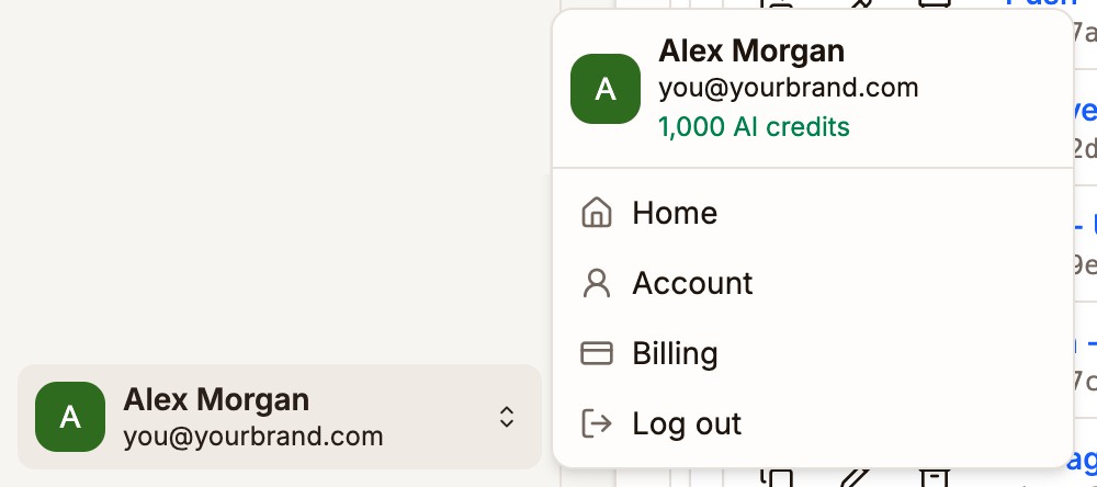 The menu under your name at the bottom of the sidebar, showing your AI credits, and Home, Account, Billing, and Log out