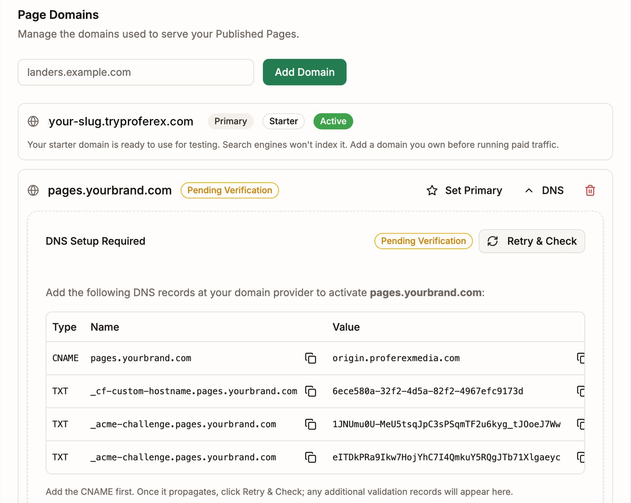 Page Domains with pages.yourbrand.com pending verification and its DNS Setup Required panel open, listing one CNAME and three TXT records with copy buttons